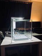 Aquarium Qubic 65L in perfecte staat, Dieren en Toebehoren, Ophalen, Nieuw, Gevuld zoetwateraquarium