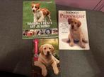 Puppy boeken, Boeken, Ophalen, Honden, Zo goed als nieuw, Gwenn Bailey