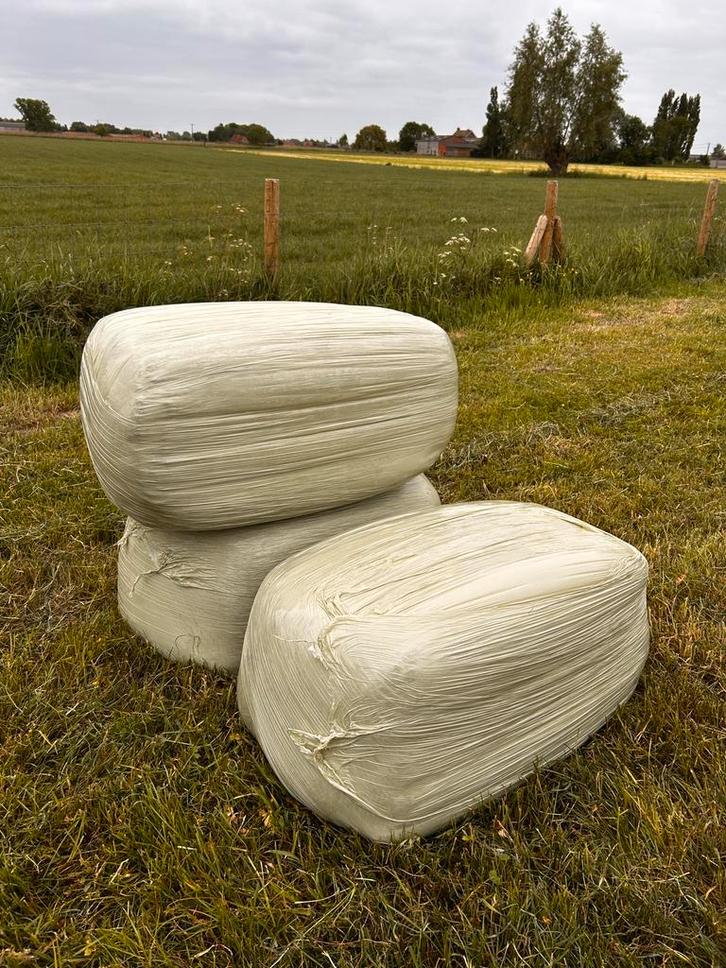 Top kwaliteit voordroog, Dieren en Toebehoren, Paarden