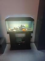 Juwel Primo 110 LED Aquarium + Juwel SB 835 Staander  +..., Dieren en Toebehoren, Ophalen, Zo goed als nieuw, Gevuld zoetwateraquarium