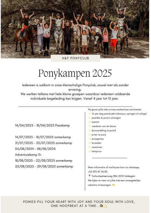 Ponykampen 2025, Dieren en Toebehoren, Paarden en Pony's | Overige Paardenspullen, Dressuur, Ophalen