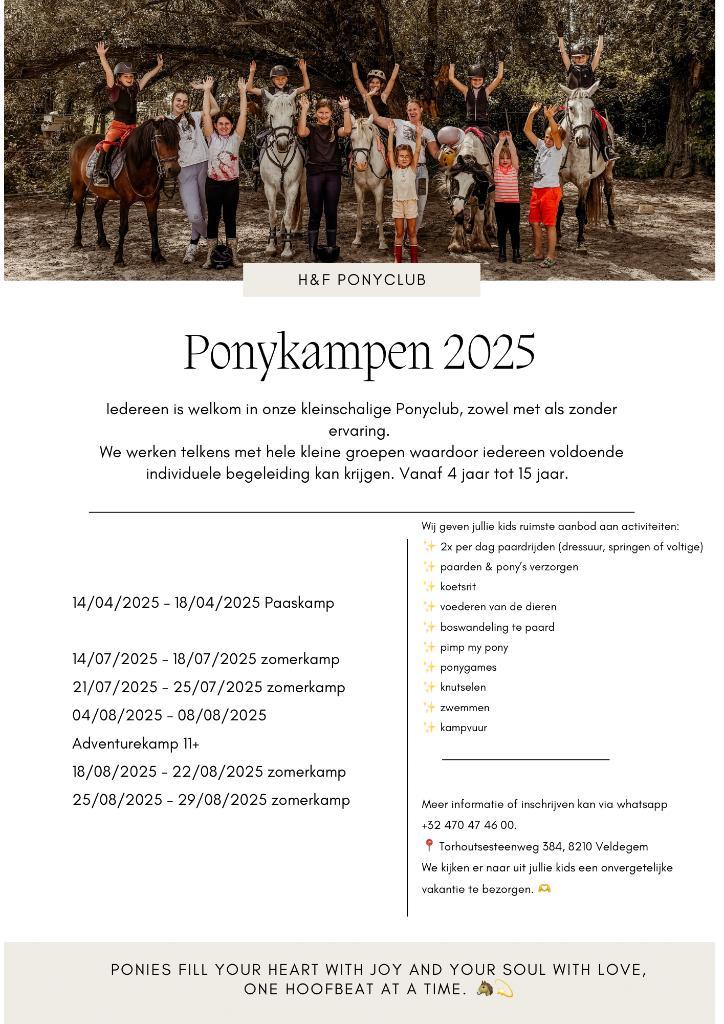 Ponykampen 2025, Dieren en Toebehoren, Paarden en Pony's | Overige Paardenspullen, Dressuur, Ophalen
