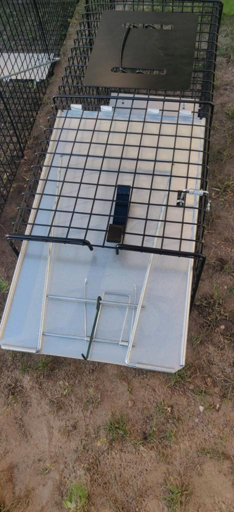 MARTERVAL DIVERSE MATEN, Dieren en Toebehoren, Pluimvee, Kip, Geslacht onbekend