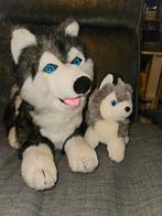 Husky moeder en puppy, Ophalen of Verzenden