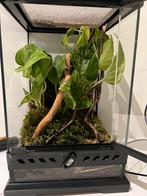Exo terra 20x20x30, Animaux & Accessoires, Enlèvement, Comme neuf
