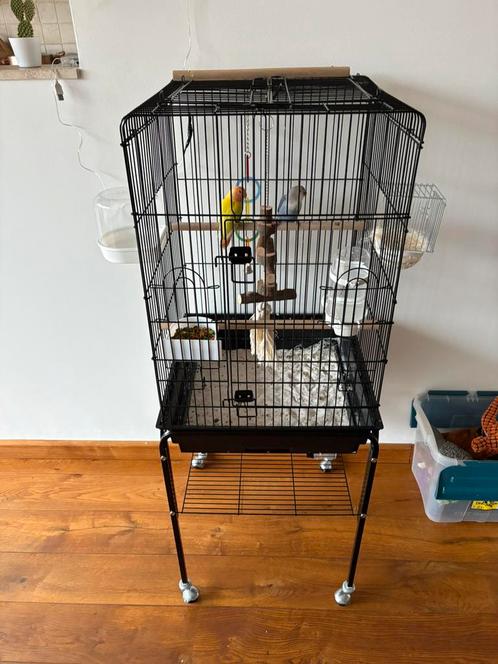 Vogel kooi op wielen nieuw staat, Dieren en Toebehoren, Vogels | Hokken en Kooien, Ophalen