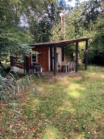 Charmante chalet met vijver in Balen, Immo