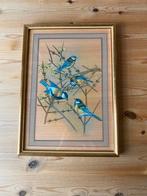 Ingelijste tekening van vogels, Huis en Inrichting, Ophalen, Minder dan 50 cm, Zo goed als nieuw, Minder dan 50 cm