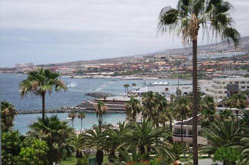 Club Atlantis 4* Tenerife: studio 2 pers., Vakantie, Vakantiehuizen | Spanje, Canarische Eilanden, Appartement, Overige, Aan zee