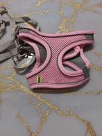 Katten, Ophalen of Verzenden