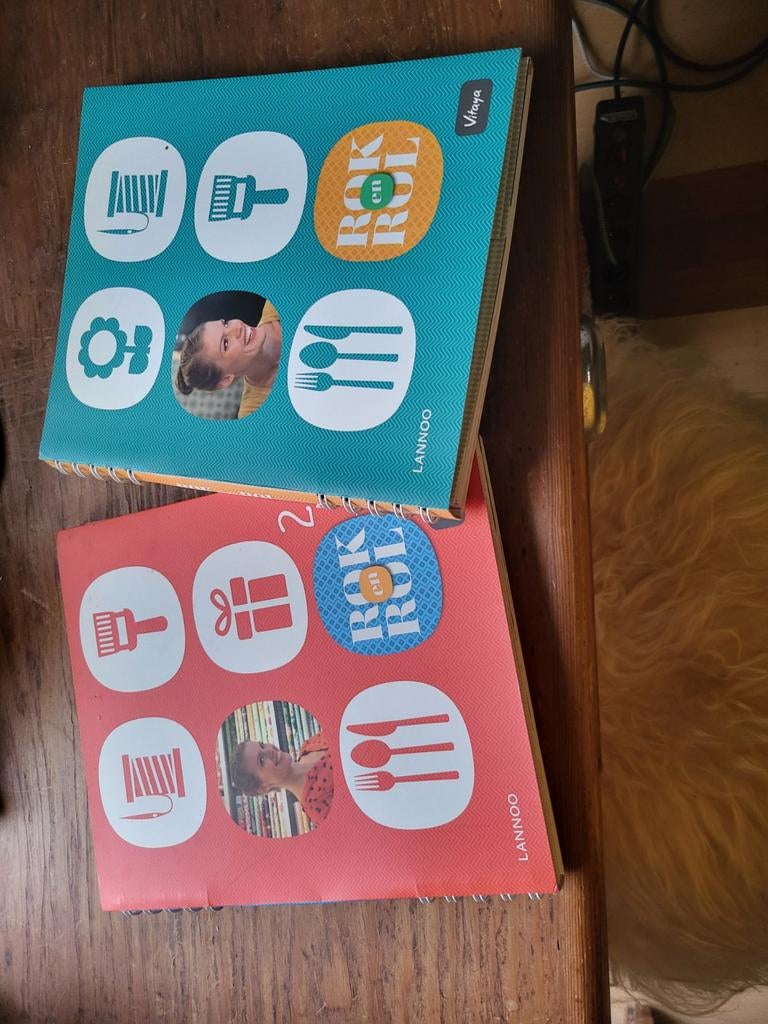 Karolien Verbanck - Rok en rol, Boeken, Mode, Ophalen