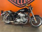 Harley-Davidson SPORTSTER LOW 883, Motos, Motos | Motos accidentées, Autres marques, 883 cm³, Chopper