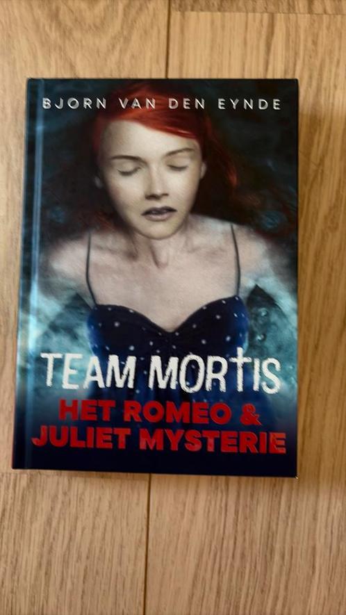 Bjorn van den Eynde - Het Romeo & Juliet mystery, Boeken, Kinderboeken | Jeugd | 13 jaar en ouder, Zo goed als nieuw, Ophalen