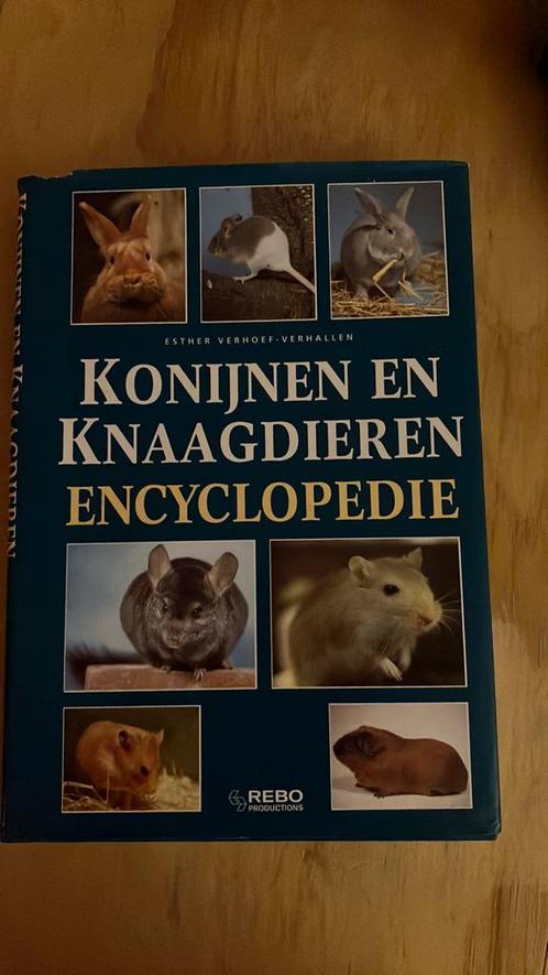 E. Verhoef-Verhallen - Konijnen en knaagdieren encyclopedie, Livres, Animaux & Animaux domestiques, Comme neuf, Enlèvement ou Envoi