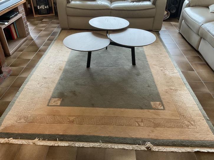 Wollen tapijten, Huis en Inrichting, Stoffering | Tapijten en Vloerkleden, Gebruikt, 150 tot 200 cm, 200 cm of meer, Rechthoekig