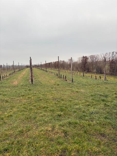 landbouwgrond, Immo, Terrains & Terrains à bâtir, 1500 m² ou plus