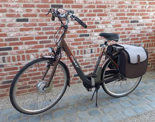 Giant Twist GO Double, Fietsen en Brommers, Elektrische fietsen, Zo goed als nieuw, Giant, 30 tot 50 km per accu, Ophalen