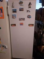 Diepvries Friac, Elektronische apparatuur, Vriezers en Diepvrieskisten, Ophalen