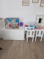 Hamsterkooi set  & loopbal, Ophalen, 110 cm of meer