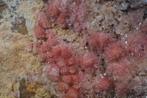 Roze STRENGIET bollen uit Bragança, Portugal., Verzamelen, Ophalen of Verzenden, Mineraal