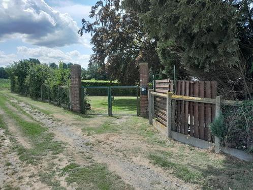 terrain, Immo, Gronden en Bouwgronden, 1500 m² of meer