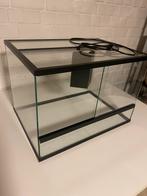 Terrarium te koop (glas), Dieren en Toebehoren, Ophalen, Gebruikt, Terrarium of Paludarium