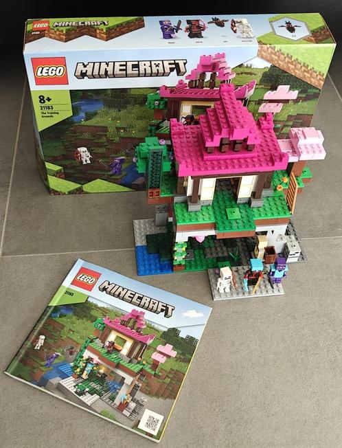 Lego 21183 - De trainingsplaats - Minecraft, Kinderen en Baby's, Speelgoed | Duplo en Lego, Zo goed als nieuw, Lego, Complete set