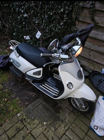 ZNEN broemer 2015 perfect alles inorde belgische papieren İS beschikbaar voor biedingen