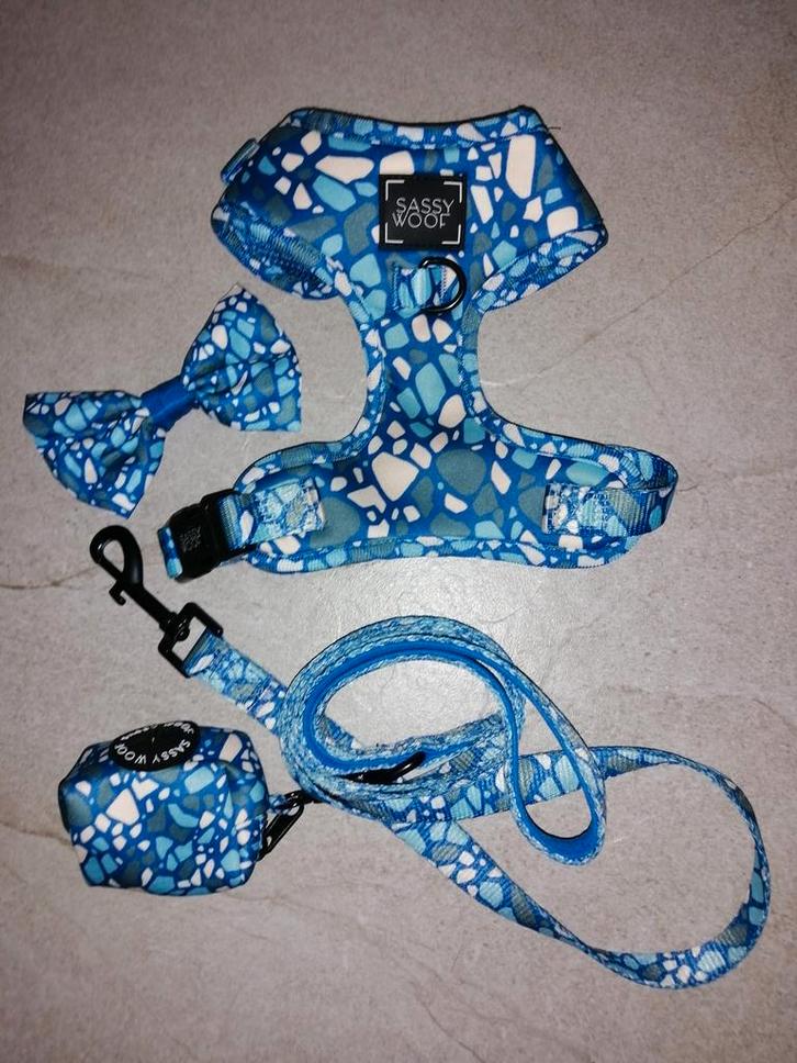 Nieuwe set voor honden, Dieren en Toebehoren, Hondenriemen, Nieuw, Ophalen