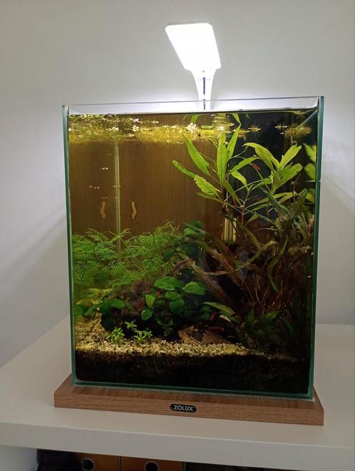 Nano-aquarium Zolux 30L, Dieren en Toebehoren, Vissen | Aquaria en Toebehoren, Zo goed als nieuw, Ophalen