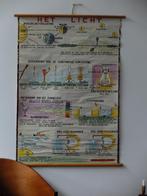 schoolplaat Licht, Antiek en Kunst, Ophalen of Verzenden, Natuur en Biologie