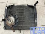 Radiateur  Honda CBR600RR 2007 - 2008 PC40 radiator koeler C, Motoren, Ophalen of Verzenden, Gebruikt
