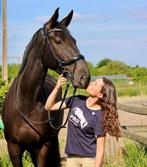 Allround paard te koop, Dieren en Toebehoren, Ophalen, Zo goed als nieuw