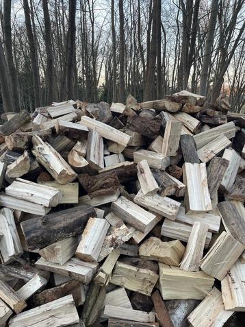 Gekliefd droog brandhout beschikbaar voor biedingen