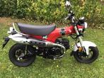 Honda DAX 125 ST in splinternieuwe staat !!, Motos, Motos | Honda, Particulier