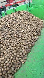 800/1000kg fontane planters 28-35, Zakelijke goederen, Landbouw | Aardappelen, Groenten, Fruit en Vlees, Ophalen