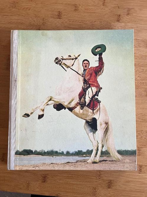 Boek, Boeken, Kunst en Cultuur | Dans en Theater, Zo goed als nieuw, Overige onderwerpen, Ophalen of Verzenden
