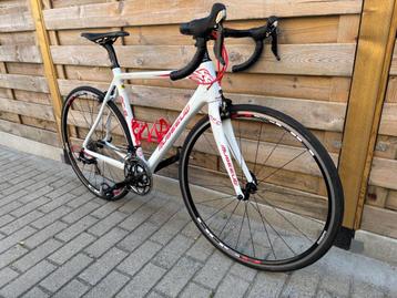 koersfiets Museeuw volledig carbon maat 54 beschikbaar voor biedingen