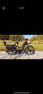 Longbike (multicharger riese&muller), Fietsen en Brommers, Ophalen