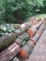 Brandhout, Tuin en Terras, Brandhout, Ophalen, Elzenhout, Stammen