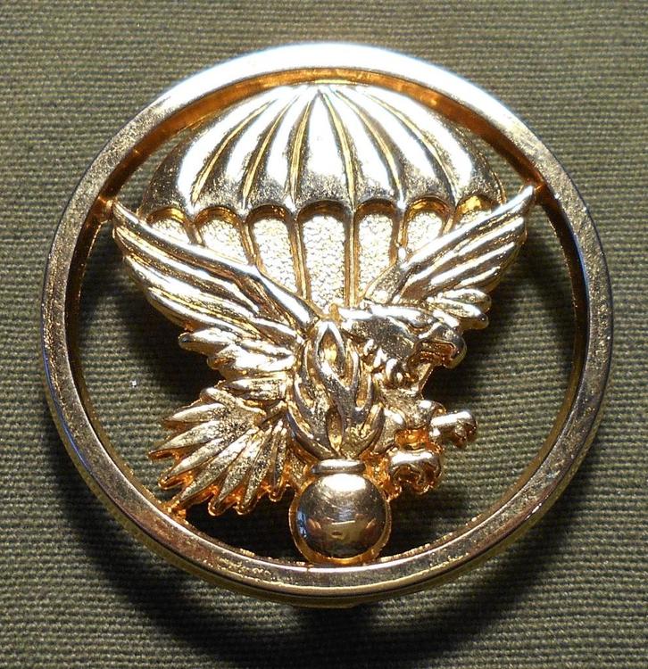 FRANCE / INSIGNE DE BERET DE L'  EPIGN / GIGN., Verzamelen, Militaria | Algemeen, Rijkswacht, Embleem of Badge, Verzenden