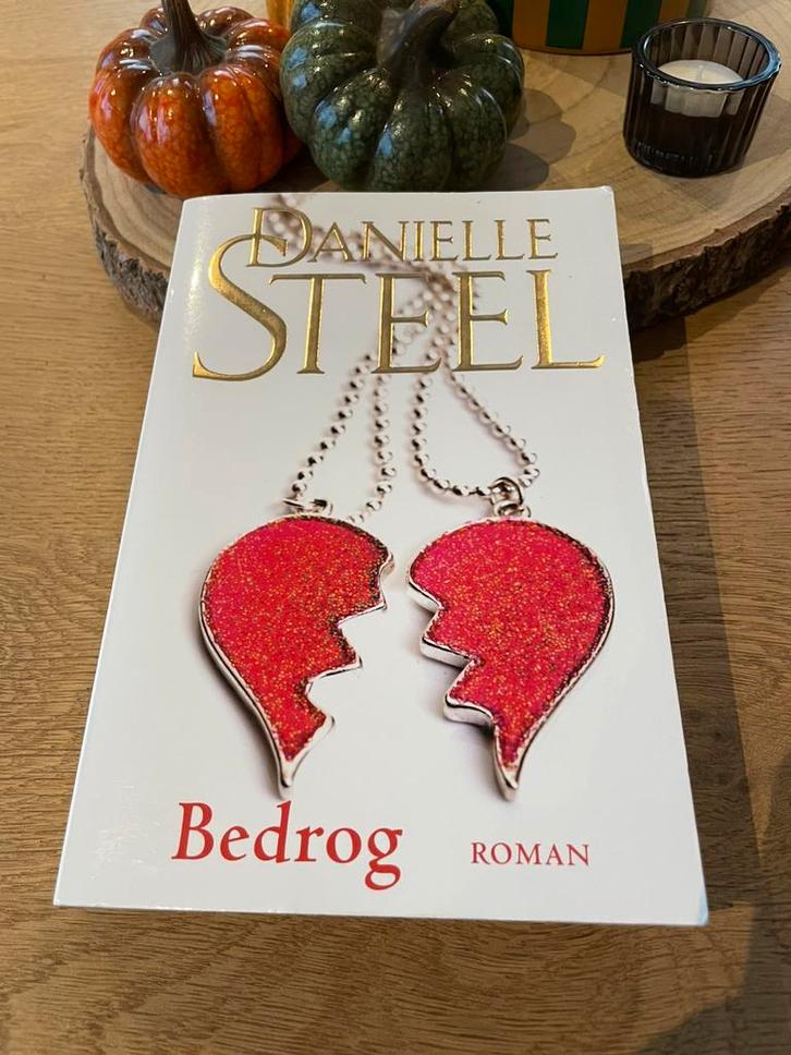 Boek Danielle Steel - Bedrog, Boeken, Romans, Verzenden