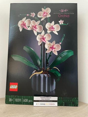 Lego Botanical - 10311 - Orchidee, Enlèvement, Neuf, Ensemble complet, Lego