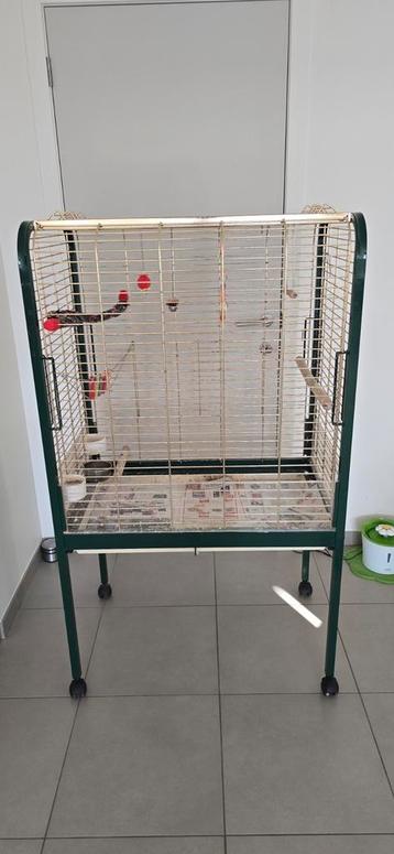 Vogel of papegaai kooi beschikbaar voor biedingen
