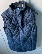 Blauwe bodywarmer M/L,nieuw, Ophalen, Nieuw, Blauw