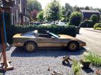 Unieke Gouden Chevrolet Corvette, Autos, Chevrolet, Corvette, Achat, Particulier, 8 cylindres