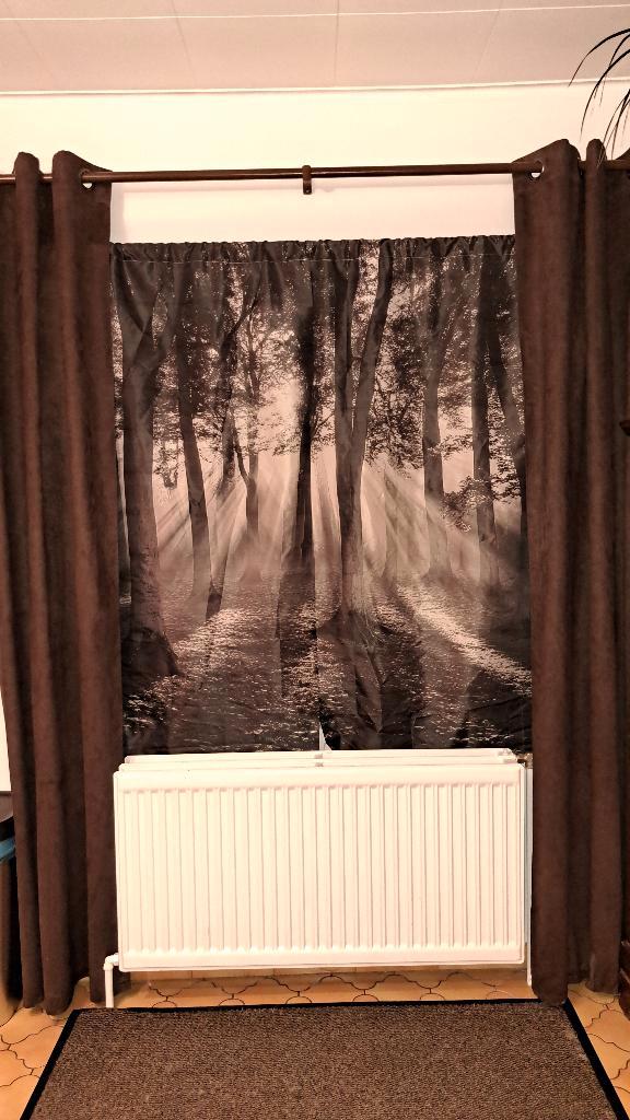 Jeux d'élégants Rideaux de forêt Brumeuse Gothique - NEUF, Maison & Meubles, Ameublement | Rideaux & Stores à lamelles, Neuf, 100 à 150 cm