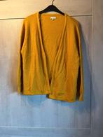 gilet geel bel bo 3xl 50, Kleding | Dames, Bel & Bo, Ophalen of Verzenden, Gedragen, Geel