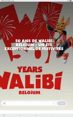 2 entrées adulte pour Walibi valable jusqu'au 05/10/2025, Tickets en Kaartjes, Overige Tickets en Kaartjes