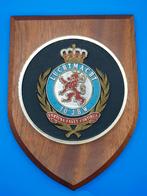 Belgian Air Force crest 10 JBW ( CR15 ), Ophalen of Verzenden, Luchtmacht, Embleem of Badge